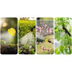 Opryskiwacz akumulatorowy Plonos PL-602, 16 l, biały
