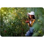 Tunel foliowy Plonos 2x3 m (6 m²), zielony - zestaw ze sznurkiem 100 m