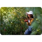 Tunel foliowy Plonos 2x4,5 m (9 m²), biały - zestaw ze sznurkiem 100 m