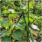 Złączki do tyczek Plonos 11x70 mm, typ-A, 4 szt., zielone