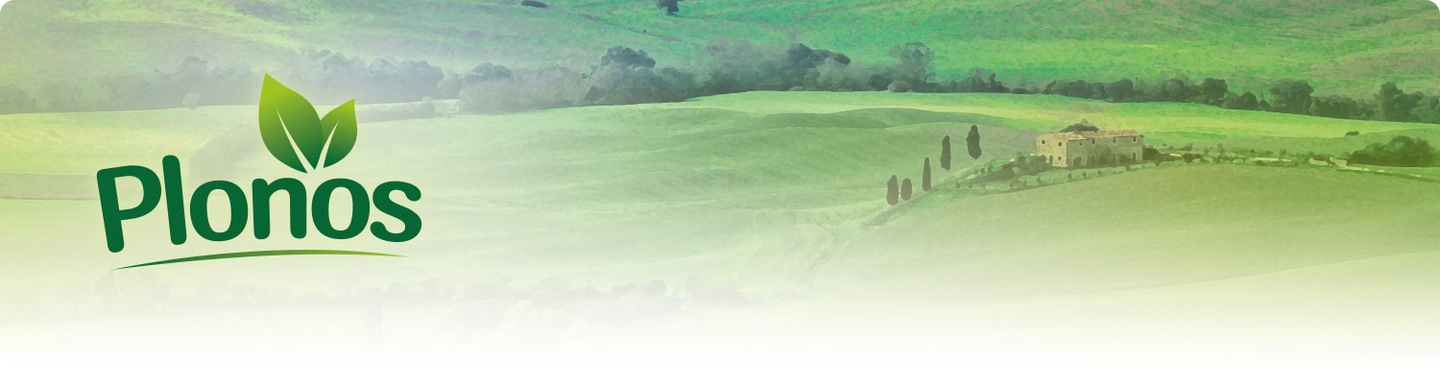 Пландека 300x600